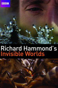 Richard Hammond's Invisible Worlds