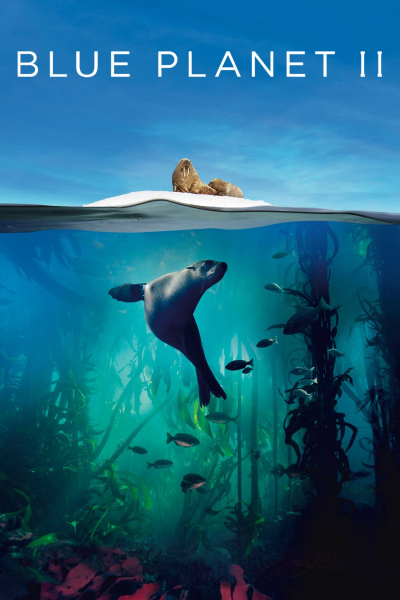 The Blue Planet II
