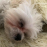 xrom12