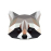 Raccoon