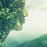 sorokina88