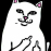 cat gad