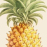 applepine