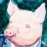 Mr.Pig
