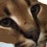 fosterushka