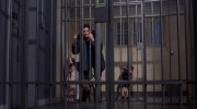 102 Dalmatians