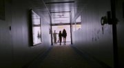 28 Weeks Later