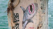 47 Meters Down