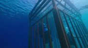 47 Meters Down