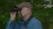 A Birder's Guide to Everything
