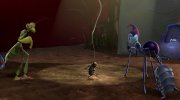 A Bug's Life