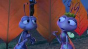 A Bug's Life