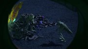 A Bug's Life