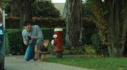 A Dog's Way Home