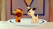 A Kitten Named Woof (Episode 1)