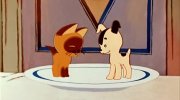 A Kitten Named Woof (Episode 1)