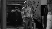 A Streetcar Named Desire