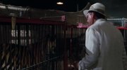 Ace Ventura: When Nature Calls