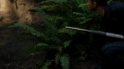 After Earth