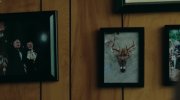 American Animals