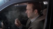 American Beauty