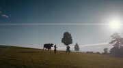 American Pastoral