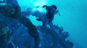 Avatar: The Way of Water