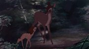 Bambi