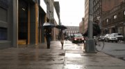 Bill Cunningham New York