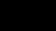 Black Holes