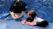 Blackfish