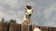 Bolt