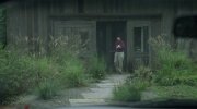 Broken Flowers
