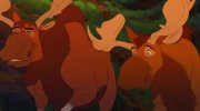 Brother Bear