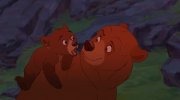 Brother Bear