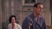 Cat on a Hot Tin Roof