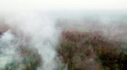 Climate Change: The Facts