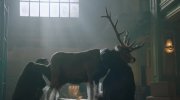 Cold Pursuit