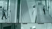 Cold Storage