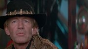 «Crocodile» Dundee II