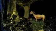 Cryptozoo