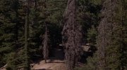 Dante's Peak