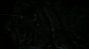 Dark Shadows