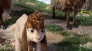 David
