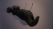 David Attenborough's Natural History Museum Alive