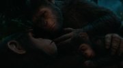 Dawn of the Planet of the Apes