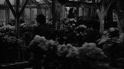 Days of Wine and Roses
