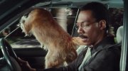 Doctor Dolittle