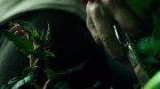 Don't Breathe