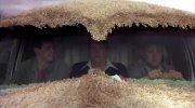 Dumb & Dumber